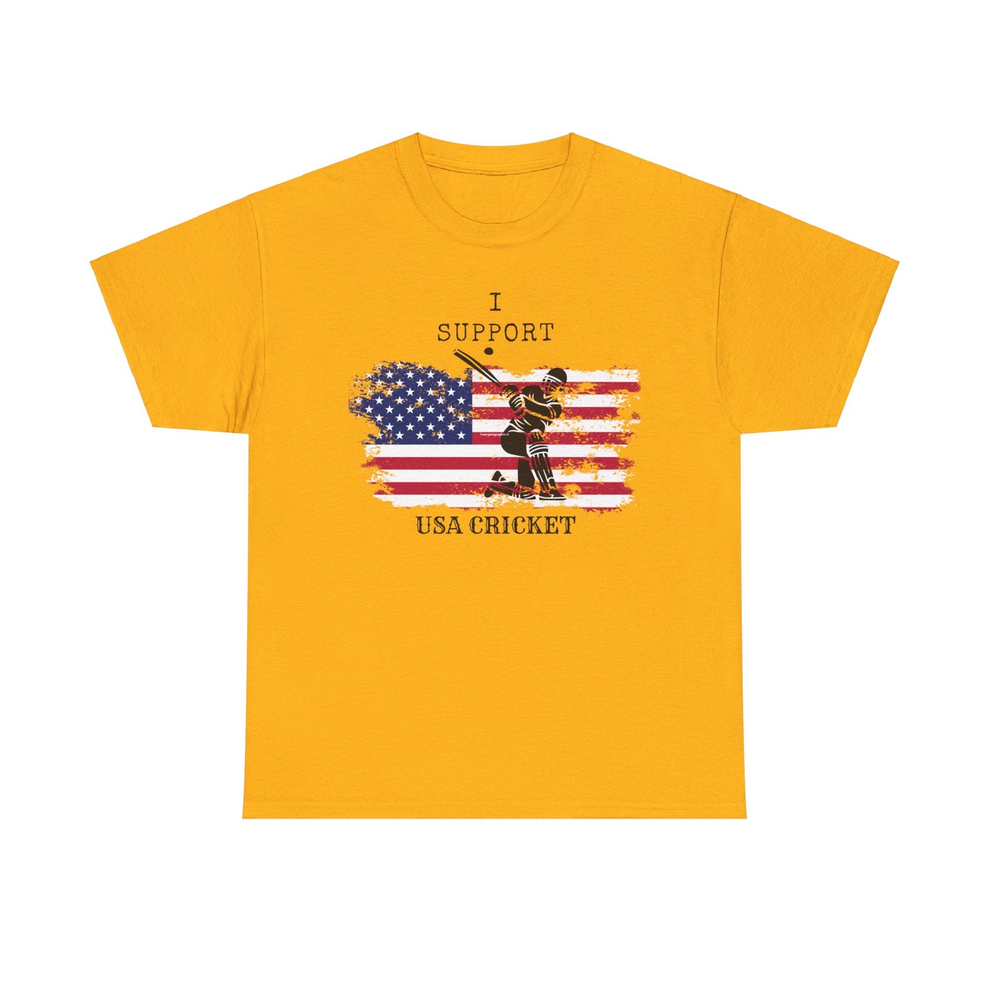 Support USA Cricket Gift T- shirt