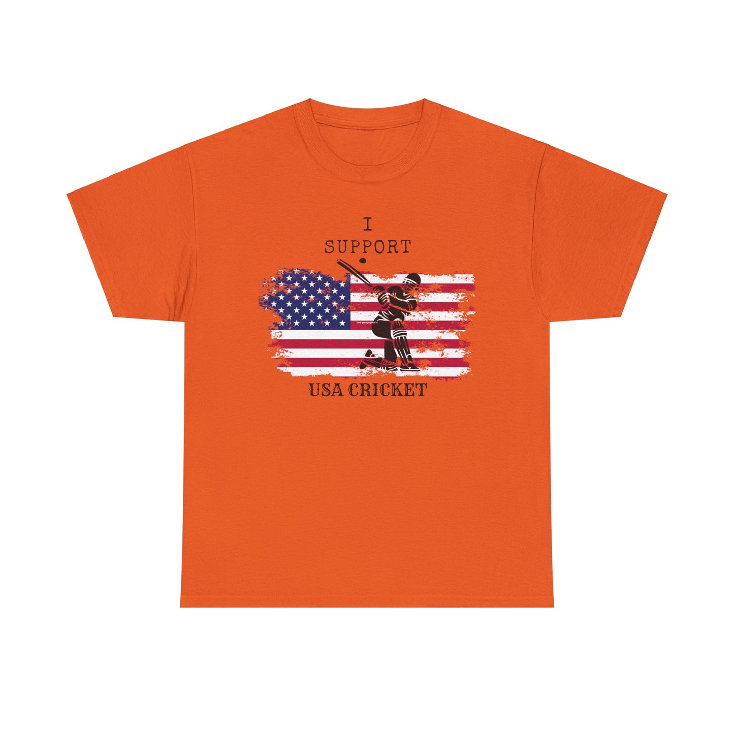 Support USA Cricket Gift T- shirt