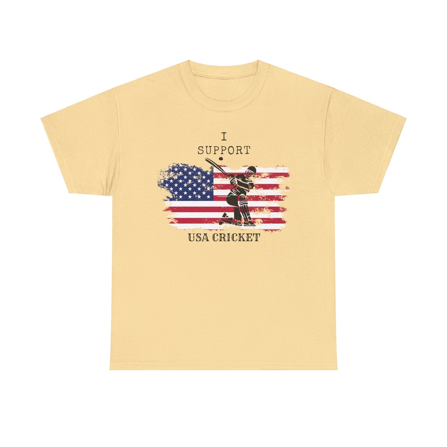 Support USA Cricket Gift T- shirt
