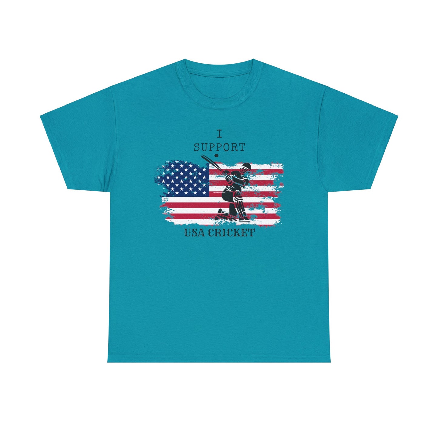 Support USA Cricket Gift T- shirt