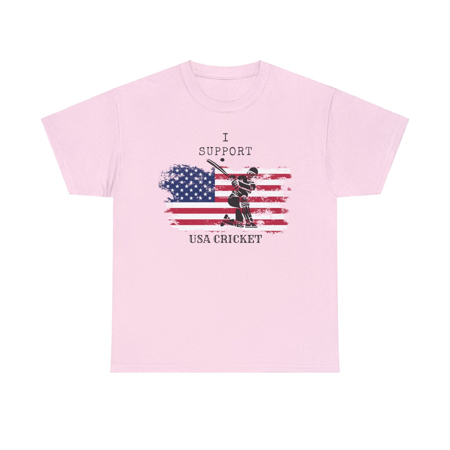 Support USA Cricket Gift T- shirt