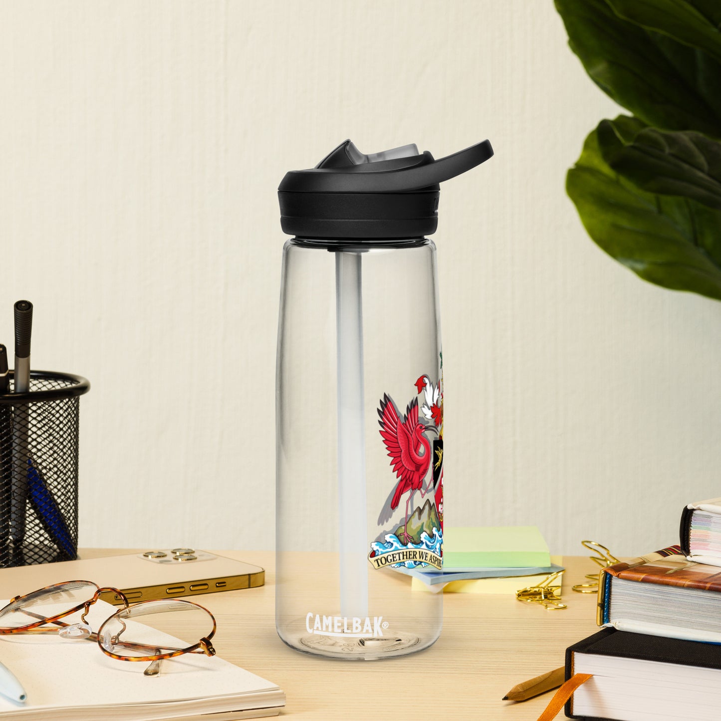 Trinidad And Tobago Sports water bottle