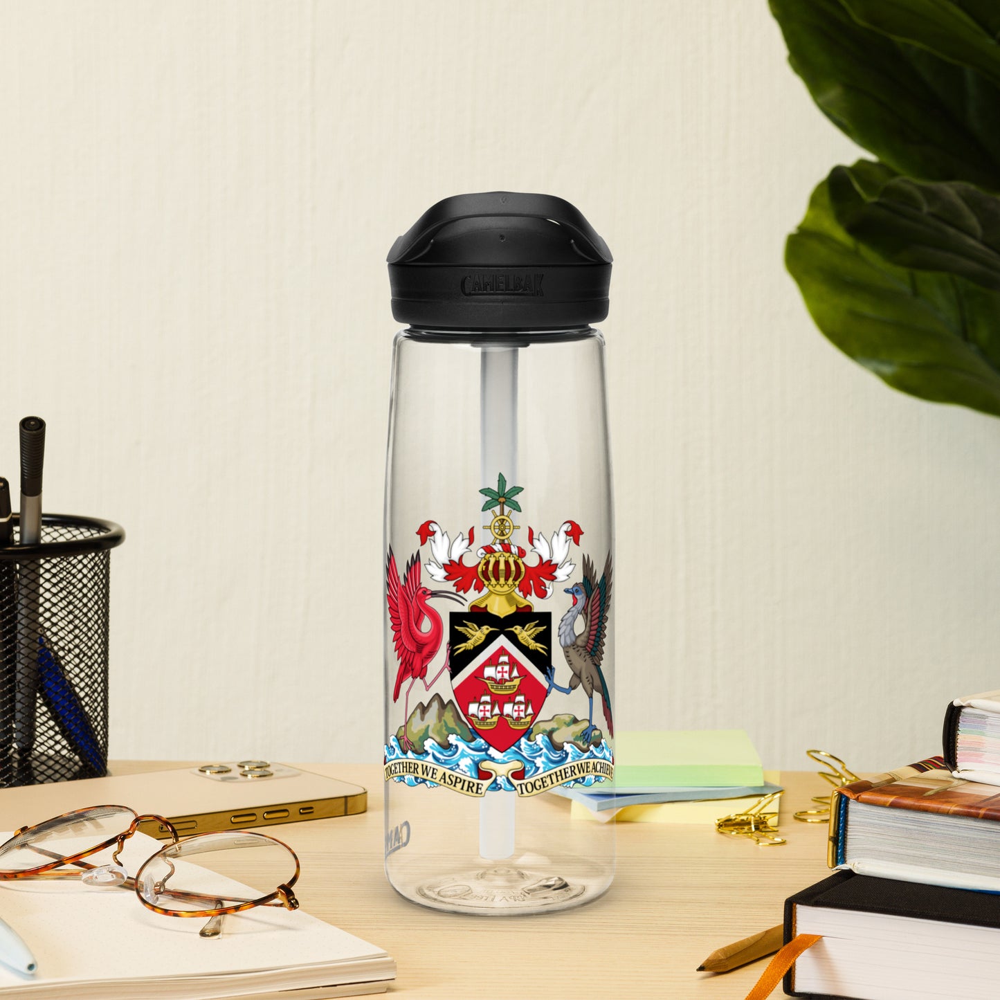 Trinidad And Tobago Sports water bottle