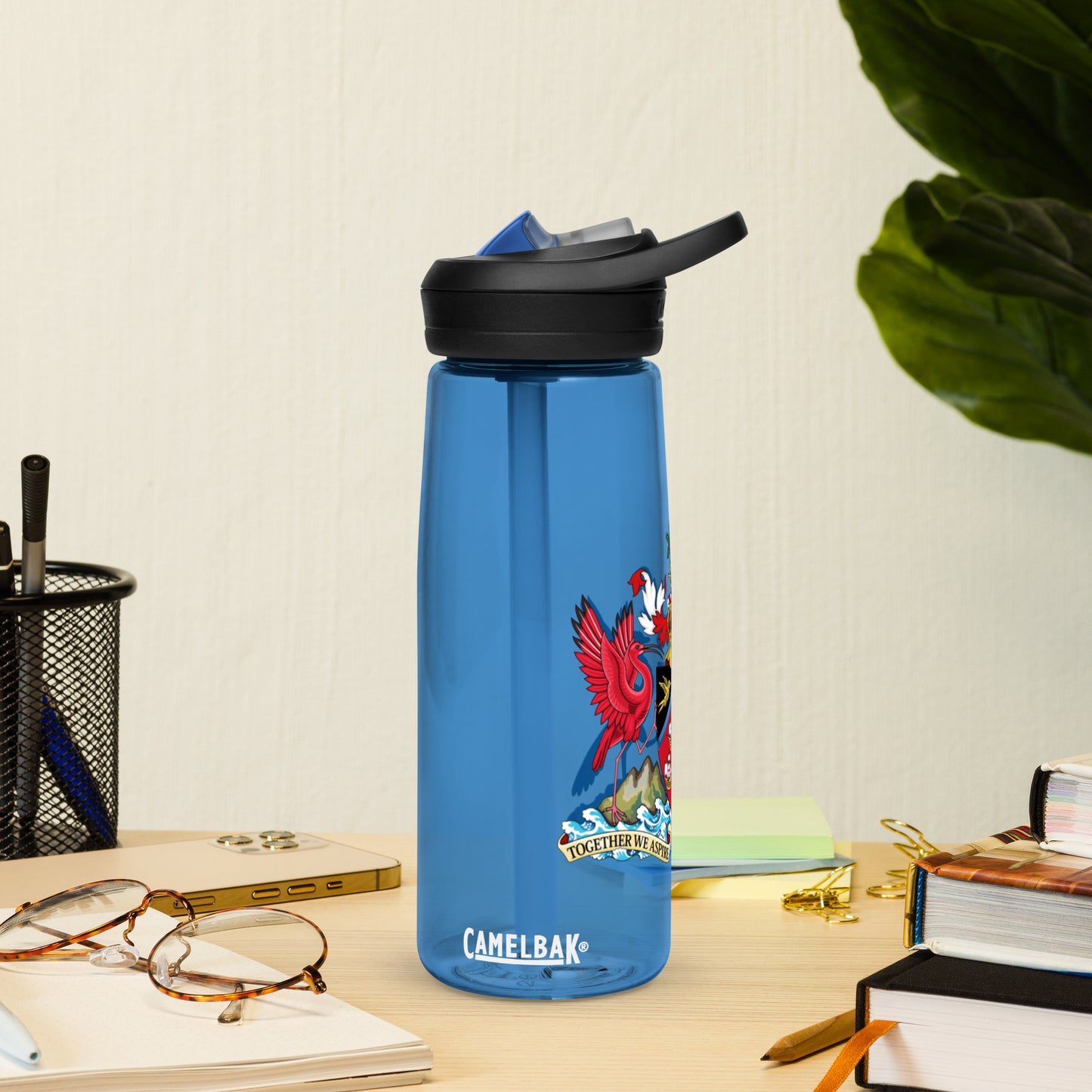 Trinidad And Tobago Sports water bottle