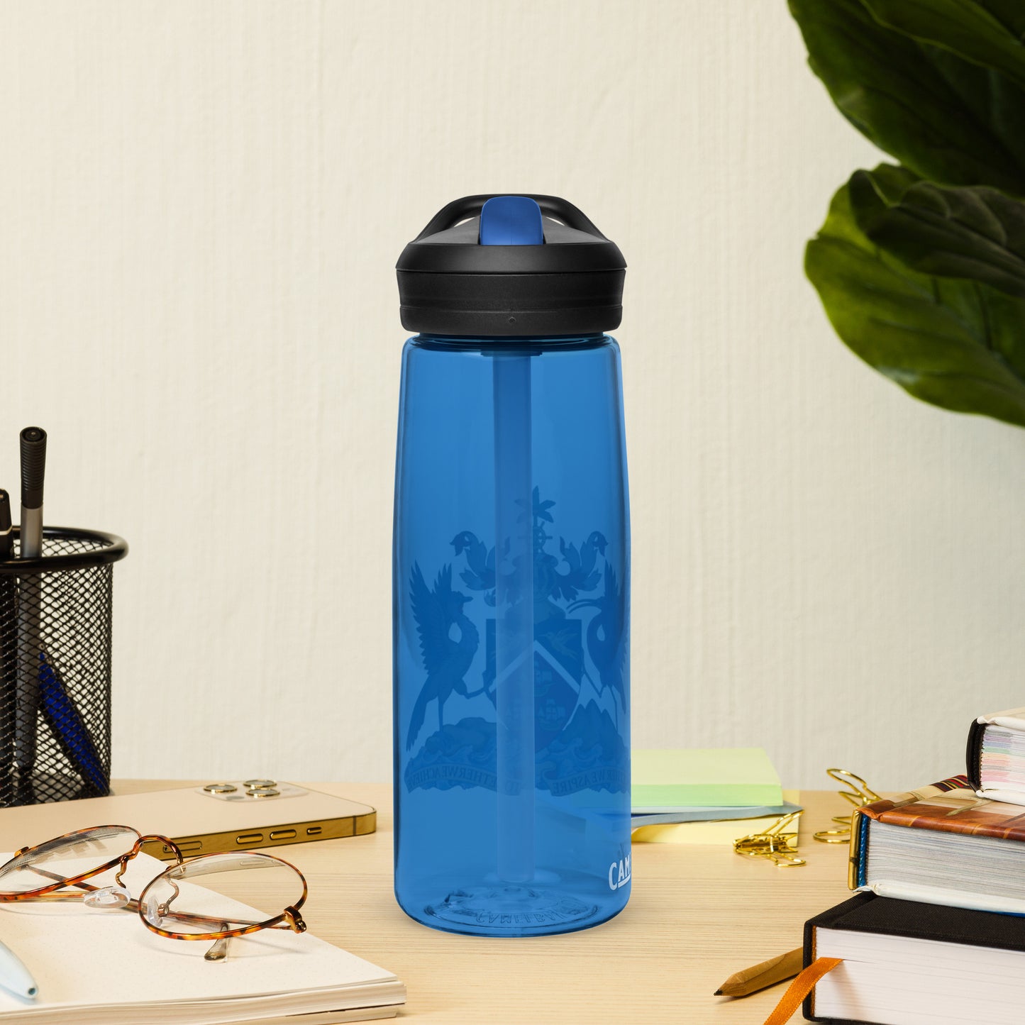 Trinidad And Tobago Sports water bottle